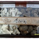 건송고버섯 선물세트 가격(옥천 청산사랑농원) 이미지