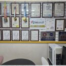 용인대 가온 태권도장 이미지