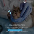 더블유동물의료센터 이미지