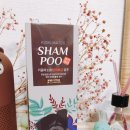 반려동물보감연구소 이미지