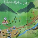 기룡산 등산로6 | 인제 하추 자연휴양림 야영장 명당은 1번과 2번