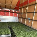 애란농장 이미지