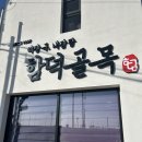 제주 여행 3일차 제주 해장국집 추천 함덕골목/도치돌 알파카목장 후기