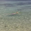 디니위드