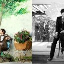 나비야(NABIYA) 이미지