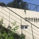 마리네가게 이미지