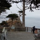 삼호농장3 이미지