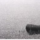 바람결-시간의 흐름 이미지