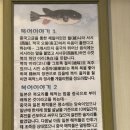 삼호복집 해물탕 이미지