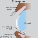 방주동물병원 이미지