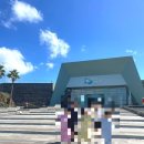 아쿠아플라넷 제주 | 제주 아쿠아 플라넷 제주 후기, 아이랑 가볼만한 제주 실내 여행지 추천
