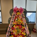 두레화원