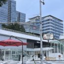 행복을 주는 한국화 | 송도 “빕스+툭툭누들타이”콜라보 후기