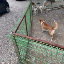 복만농장 이미지