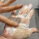 촘촘 스칼프 | 탈모예방법 고민이라면? 더마시모 리덴실 스칼프 샴푸 사용 후기