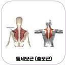 근육풀이 이미지