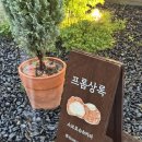 [경주] 소보로슈가 있는 한옥 감성 황리단길 카페: 프롬상록🥧🍓
