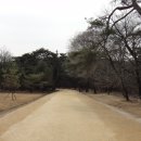 천연머리염색 이미지