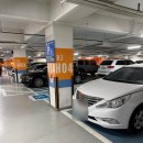 엘하우스 | 나의 웨딩베뉴를 찾아서 1탄... 양재 엘하우스 웨딩홀 투어 후기 (엘타워 8층 / 소규모 웨딩 추천)(계약 X)