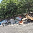 늘푸른환경 이미지