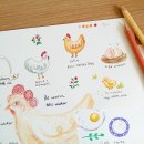 함께 그리는 색연필 일러스트 이미지