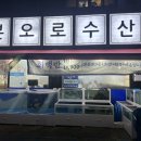 본오로 | 안산 본오동 횟집 추천 “본오로수산” – 방어·고등어·오징어회 다 먹어본 내돈내산 솔직 후기