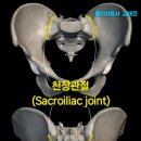 팔골천 네이버블로그