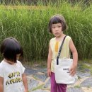 신우 카카오 검색결과