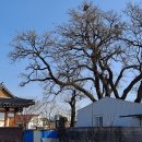 백옥마을 이미지