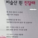 100세왕족발