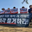 파주경매장 파이낸셜뉴스