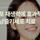 모디헤어 이미지