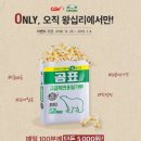 CGV 왕십리 Daum카페