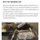 지승ENG | 원주 색한지 한지장장응렬 원주한지테마파크 한지꽃판매