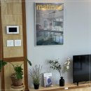 스테이브릴 이미지