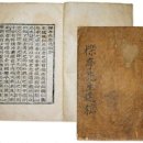 나비상조 | 四字成語 총정리 <ㅅ> 267 상전장골극~상조보험