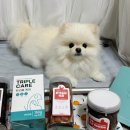 바른멍쿡 이미지