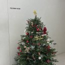 벨로의원 이미지