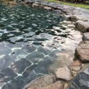 메뚜기 펜션 이미지