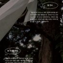 오 마이 캣 | 우고 천연 인센스 캣인더파티오, 우드인더블랭킷 - 고양이 집사의 인센스 스틱 사용 후기