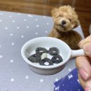 밤시(BAMSI) | (내돈내산) 댕댕이 수제간식 밤시bamsi 믿고 먹여요🧡