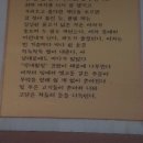막내회집