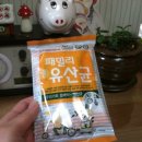 유산균을 먹자! 건국패밀리유산균