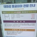 씨유 울산동굴피아점 | 태화강 동굴피아 방문 후기｜16개월 아기와 다녀온 울산 실내 가볼만한곳 솔직 리뷰
