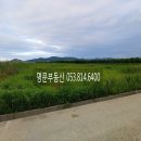 남신리 Daum카페