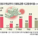 미소컨설팅