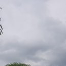 (주)프라움레스토랑 이미지