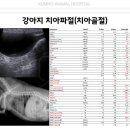 금호동물병원 이미지