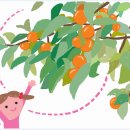 [살며 사랑하며] 그리운 감나무(국민일보) / [빛명상] 초광력을 체험한 분들의 글 이미지