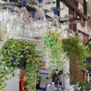 명석주유소 이미지